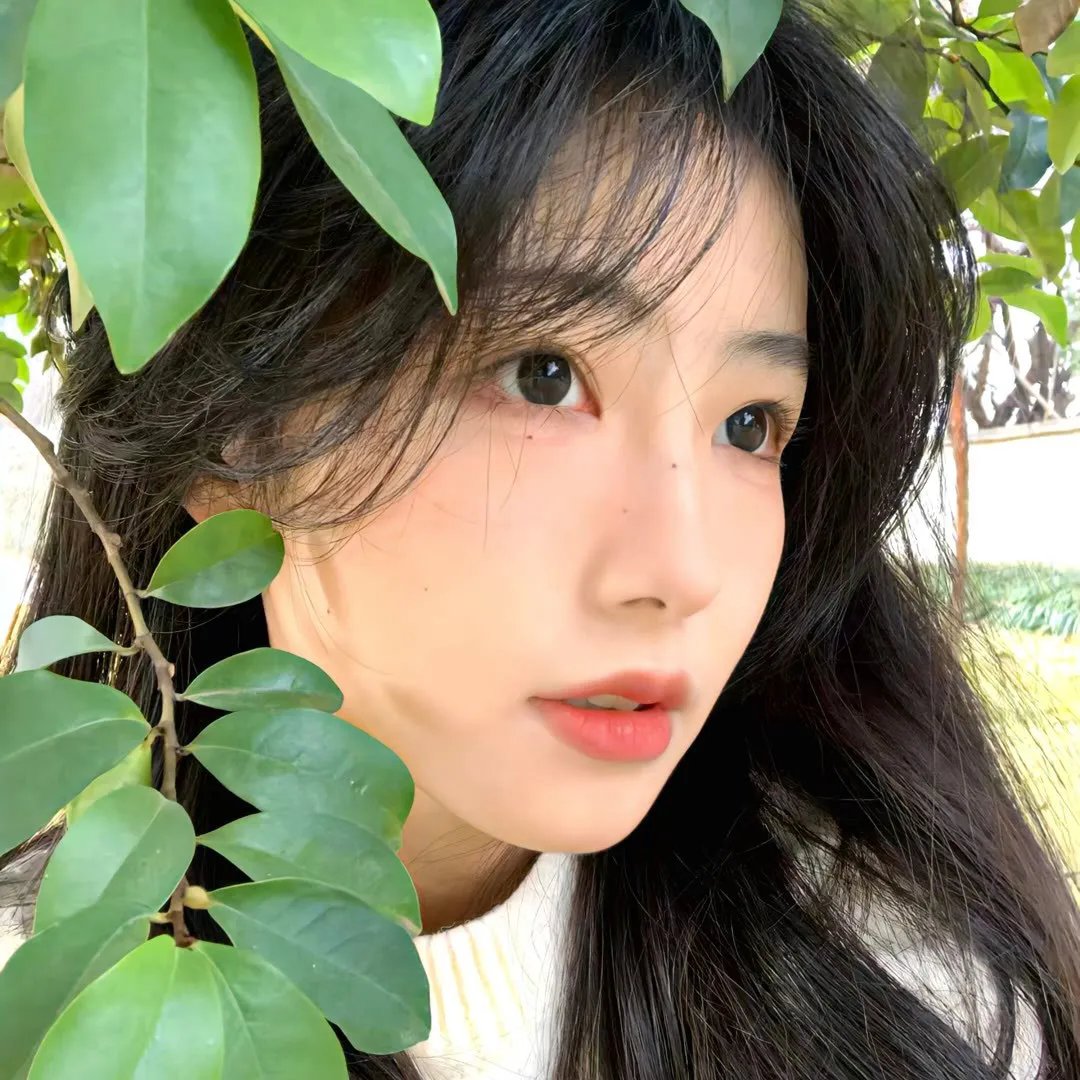 知无涯者